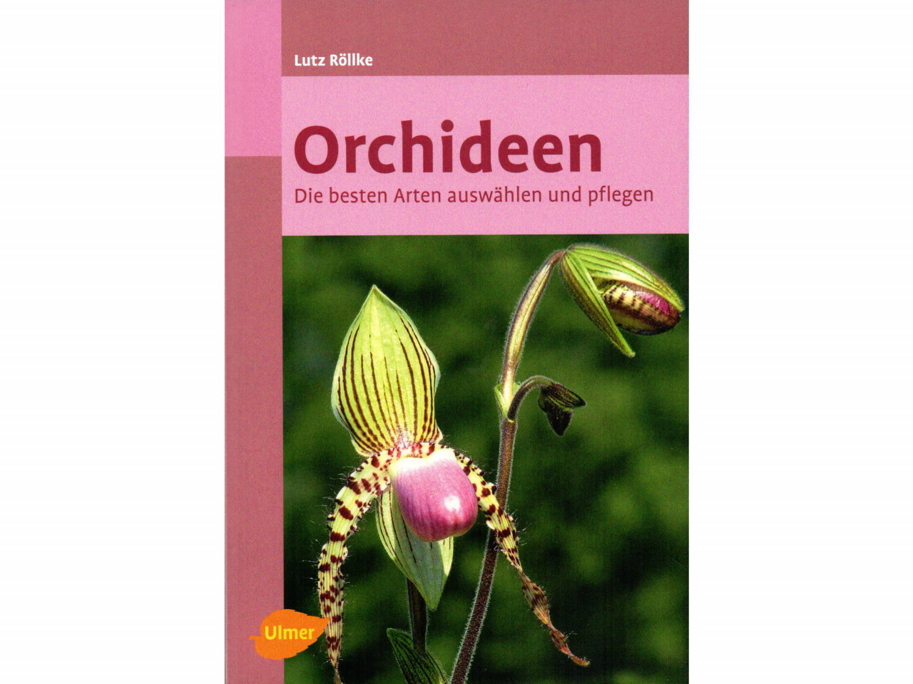 ULMER - Orchideen