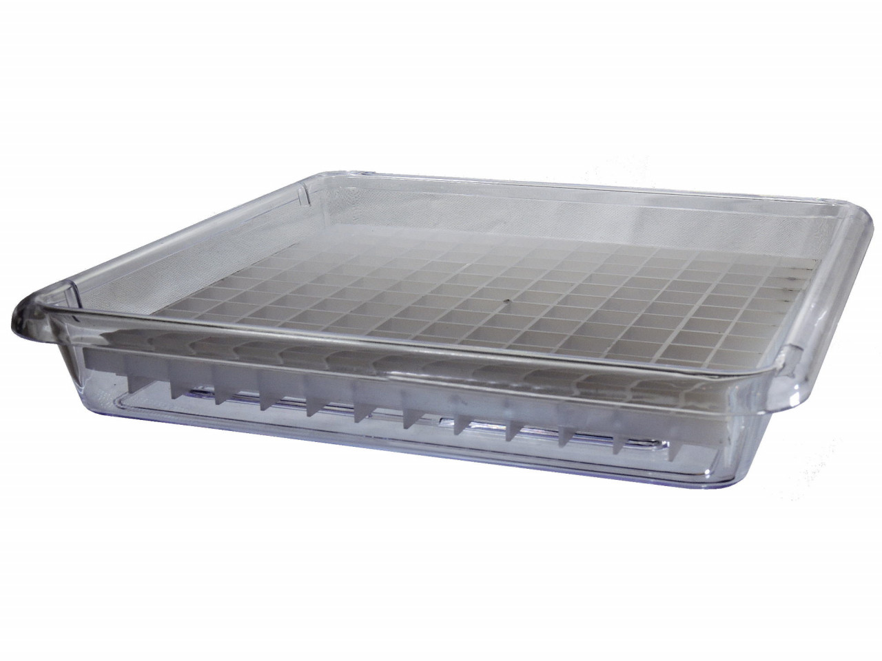 orchid humidity tray clear 22