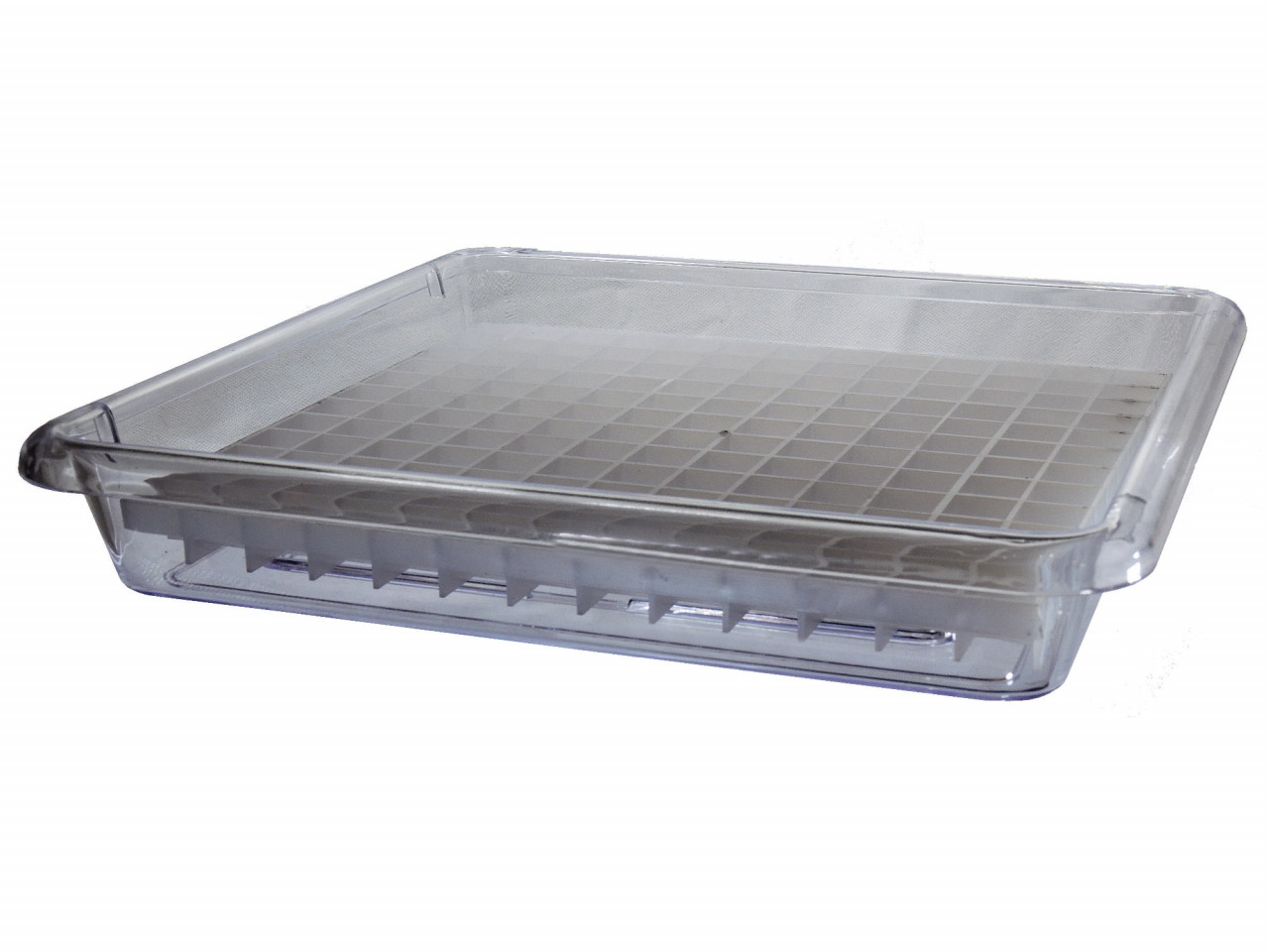 orchid humidity tray clear 18