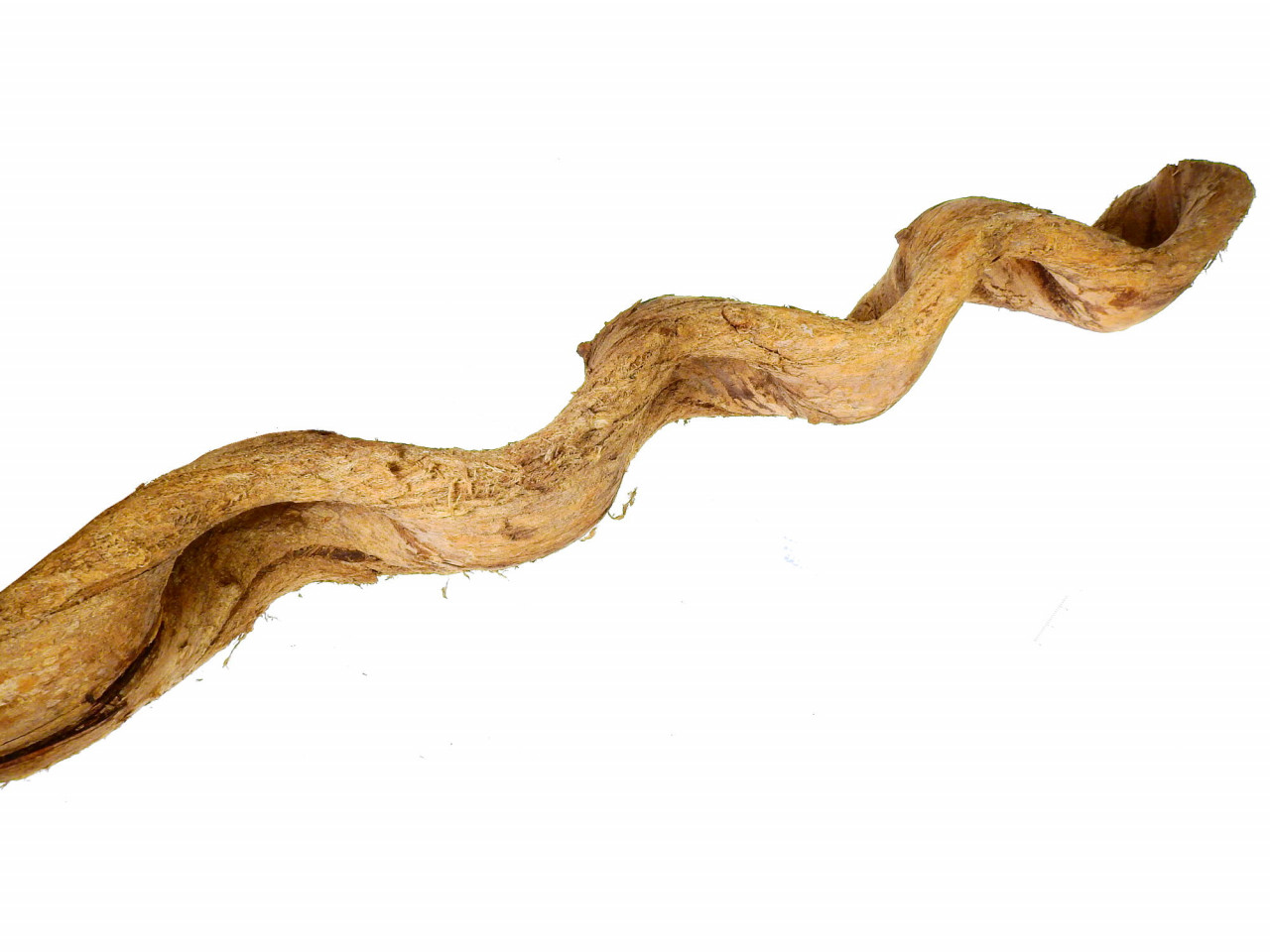Holz - Wellen- oder Schlangenliane L